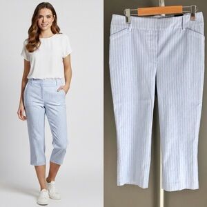 Reitmans Pastel Blue Strips Casual Stretchable Pencil Capri Trousers Pants.US 10